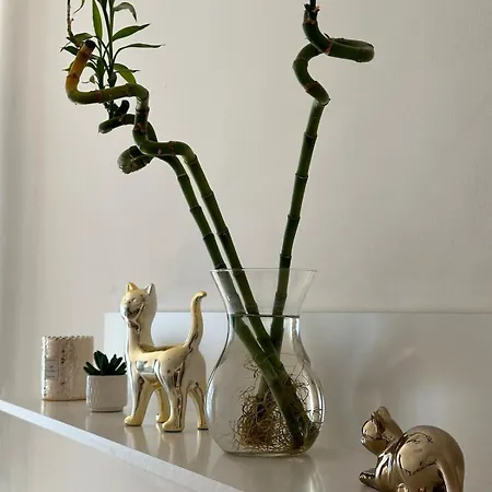 Apartamento Diamond On Wenceslas Square